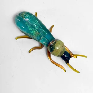 Glass Beetle