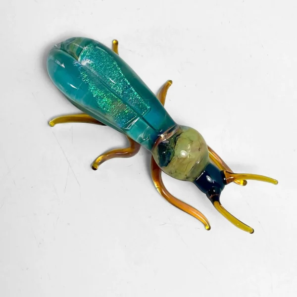 Glass Beetle