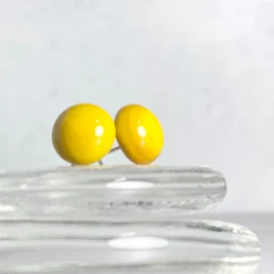 Glass Stud Earrings