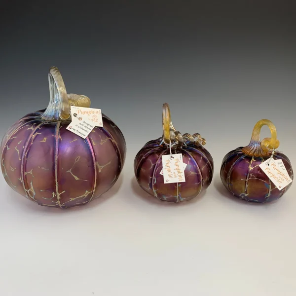 Pumpkins with a Purpose- Large