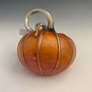 Pumpkins with a Purpose- Petit