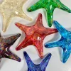 Starfish Paperweight